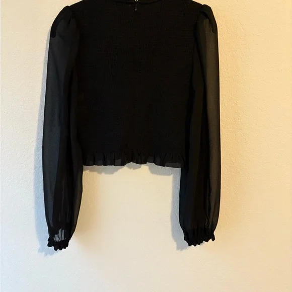 Aritzia Wilfred Tempest Black Sheer Sleeve Blouse - Picture 4 of 4